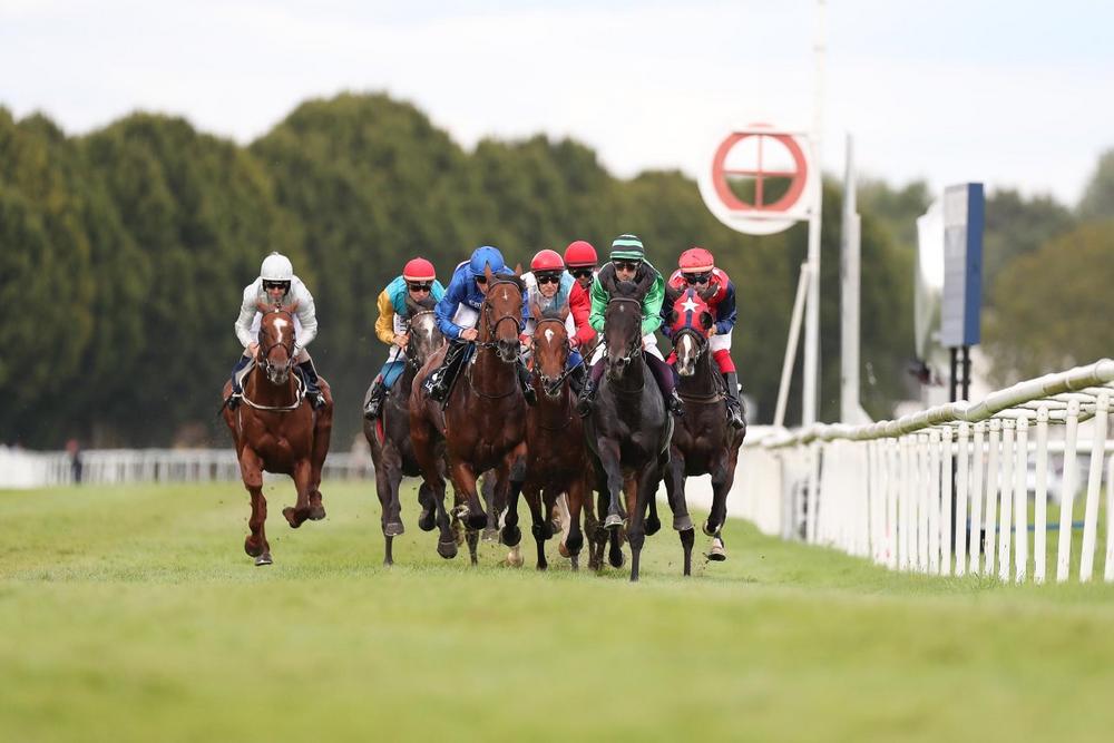 BADEN RACING: Große Woche mit sechs Gruppe-Rennen an fünf Renntagen